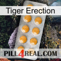 Tiger Erection levitra1